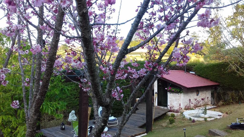 Pousada Toca Dos Tucanos Campos do Jordao Dış mekan fotoğraf